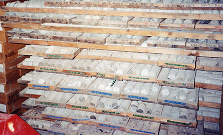 A photograph of multiple wooden shelves filled with neatly arranged rock core samples. The cores are cut into cylindrical pieces and labeled with identifying markers, suggesting geological or petroleum exploration.