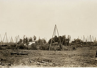 A sepia-toned historical photograph of a landscape filled with wooden oil derricks. A small house and other buildings are visible among the derricks, indicating an early oil drilling site.