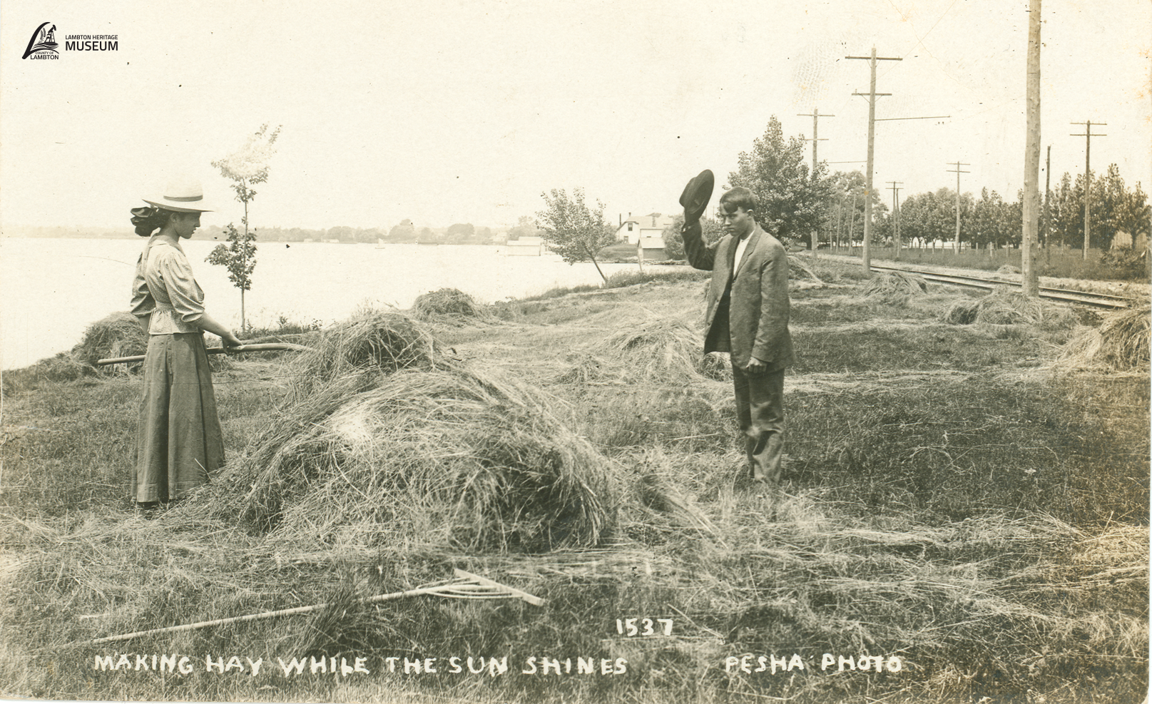 Pesha Postcard: Making Hay While the Sun Shines