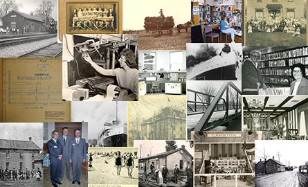 Collage of pictures. 